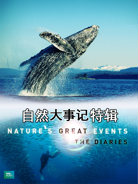 自然大事记特辑封面图