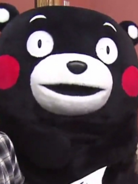 熊本新发现之旅封面图