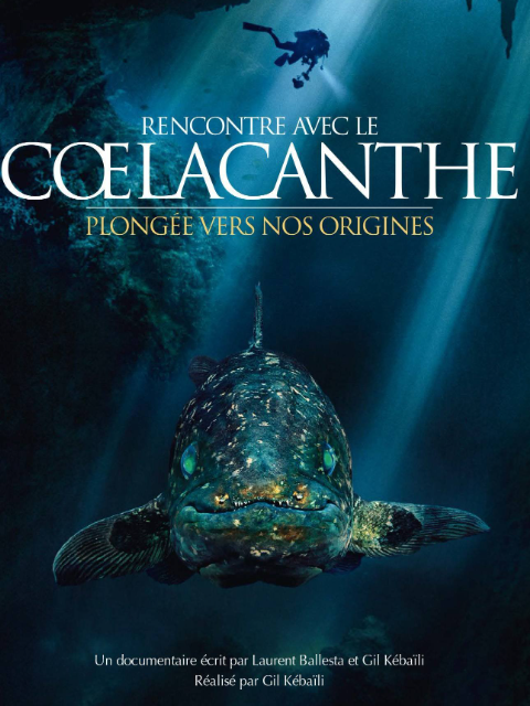 转角遇见史前鱼封面图