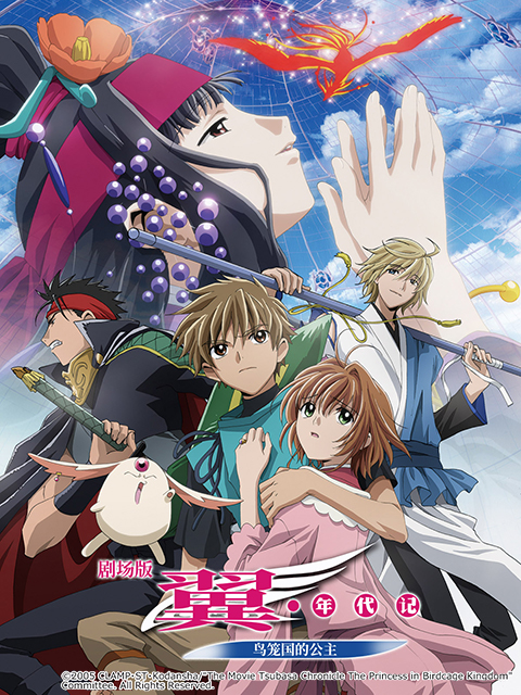 翼年代记鸟笼国的公主封面图