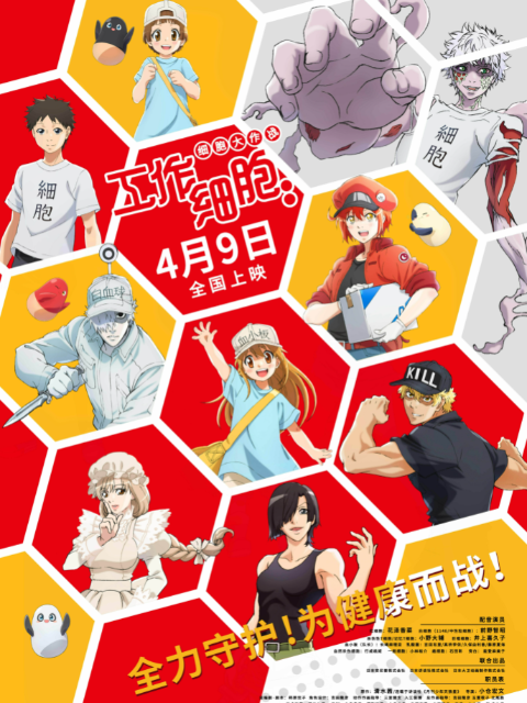 工作细胞细胞大作战封面图