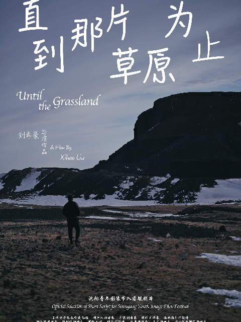 直到那片草原为止封面图