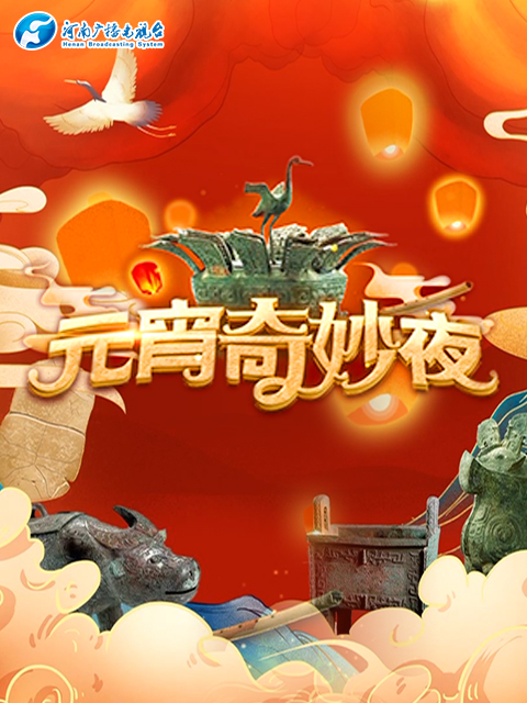 河南卫视元宵奇妙夜封面图