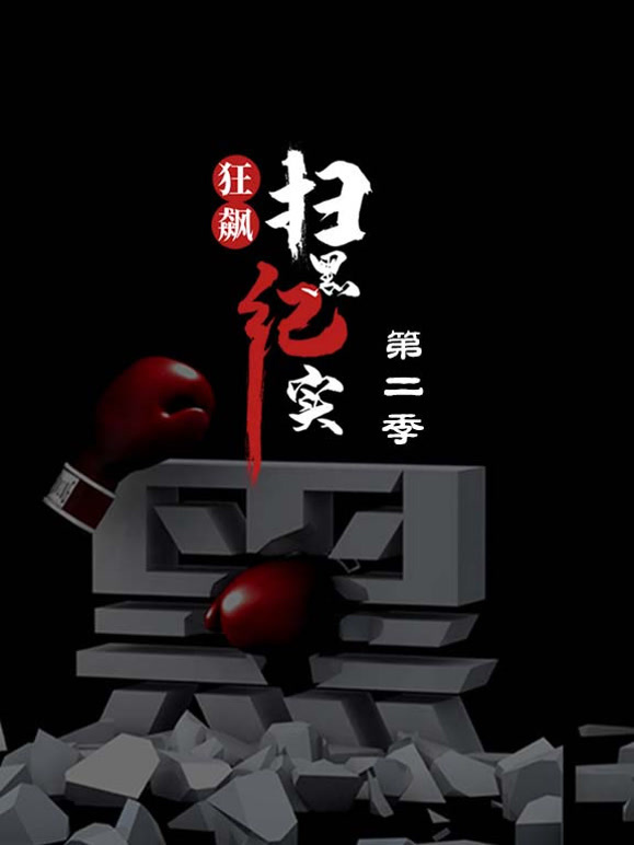 狂飙扫黑纪实第二季封面图