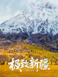 极致新疆封面图