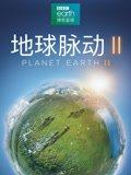 地球脉动第二季版封面图