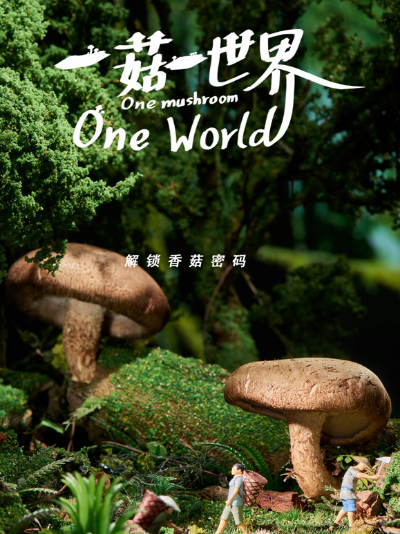 一菇一世界封面图