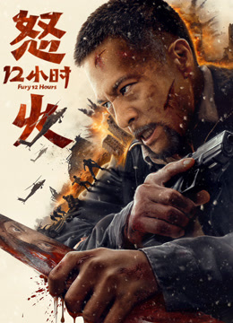 怒火十二小时封面图