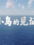 小岛的见证封面图