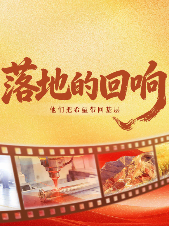 落地的回响封面图