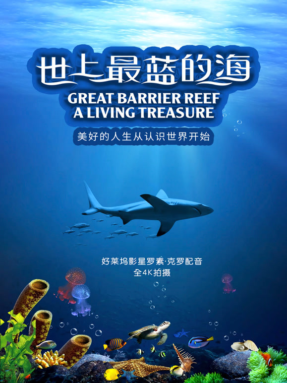 世上最蓝的海封面图