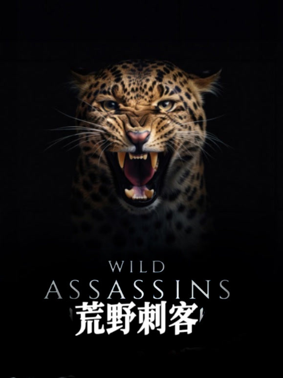 荒野刺客封面图