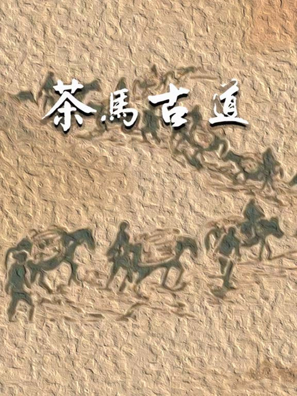 茶马古道封面图