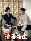 情海婚途封面图