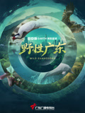 野性广东封面图