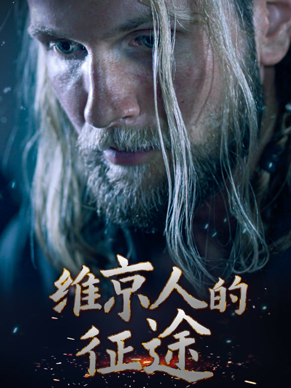 维京人的征途封面图