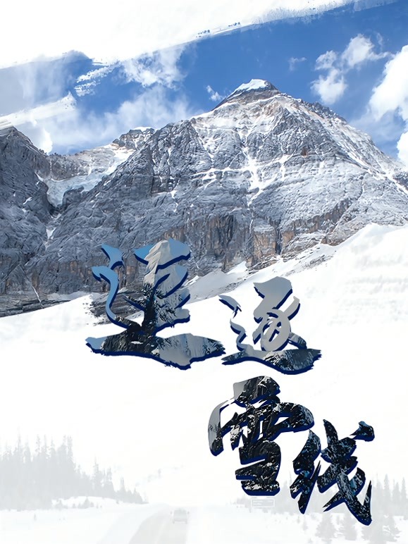 追逐雪线封面图