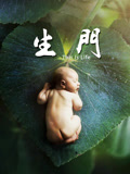 生门纪实剧网络版封面图