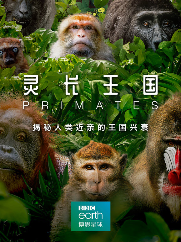 灵长王国版封面图