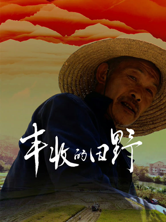 丰收的田野封面图