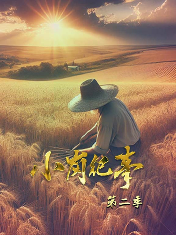 小岗纪事第二季封面图