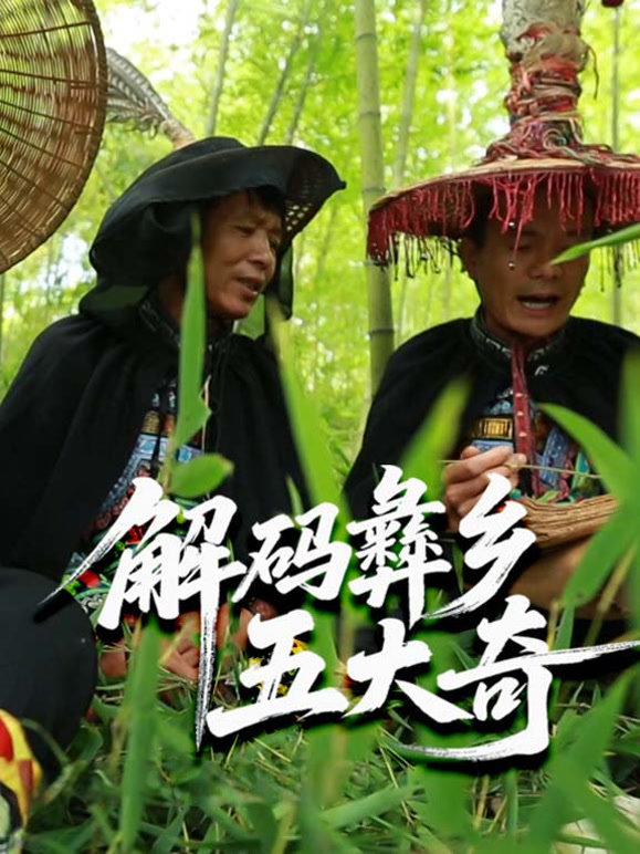 解码彝乡五大奇封面图