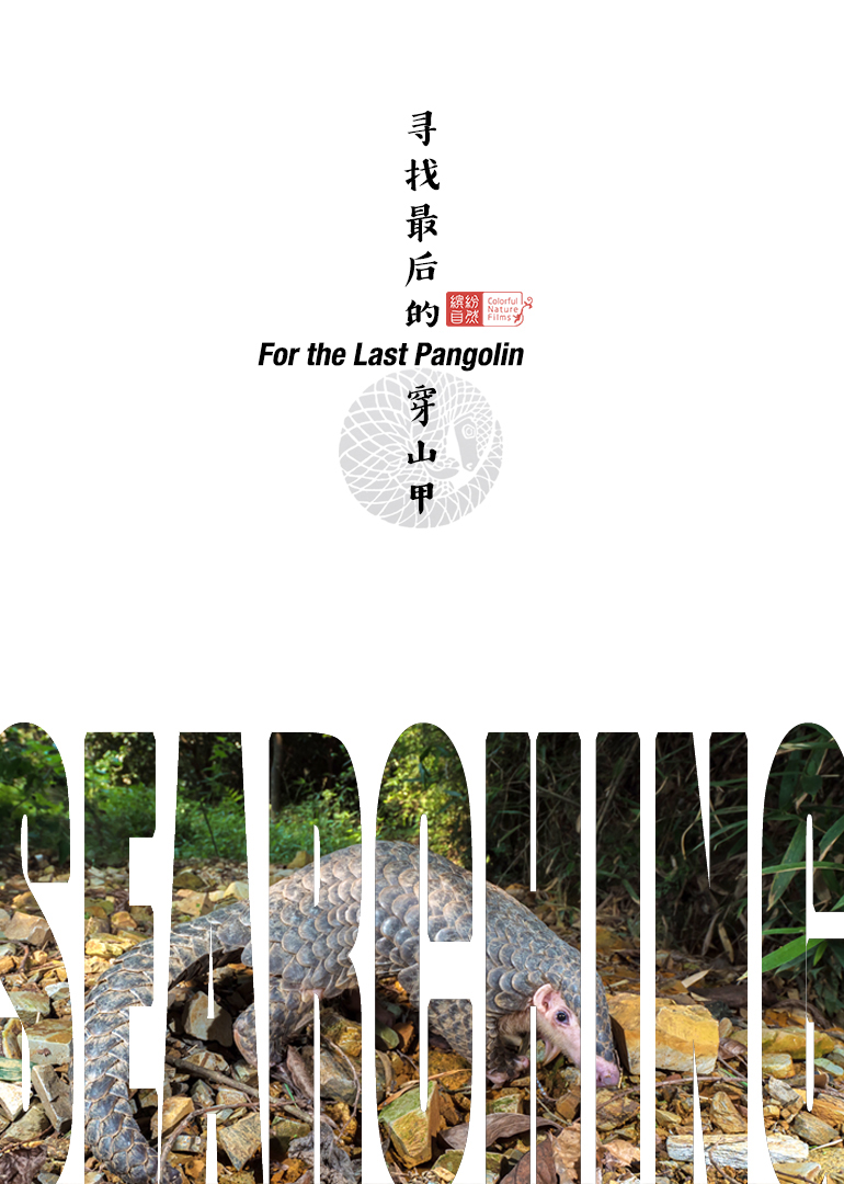 寻找最后的穿山甲封面图