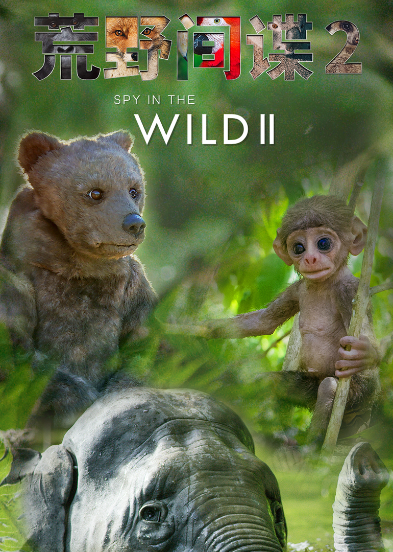 荒野间谍第二季封面图