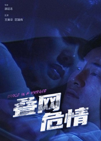 叠网危情封面图