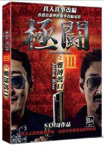 极斗3之雅博渡口封面图