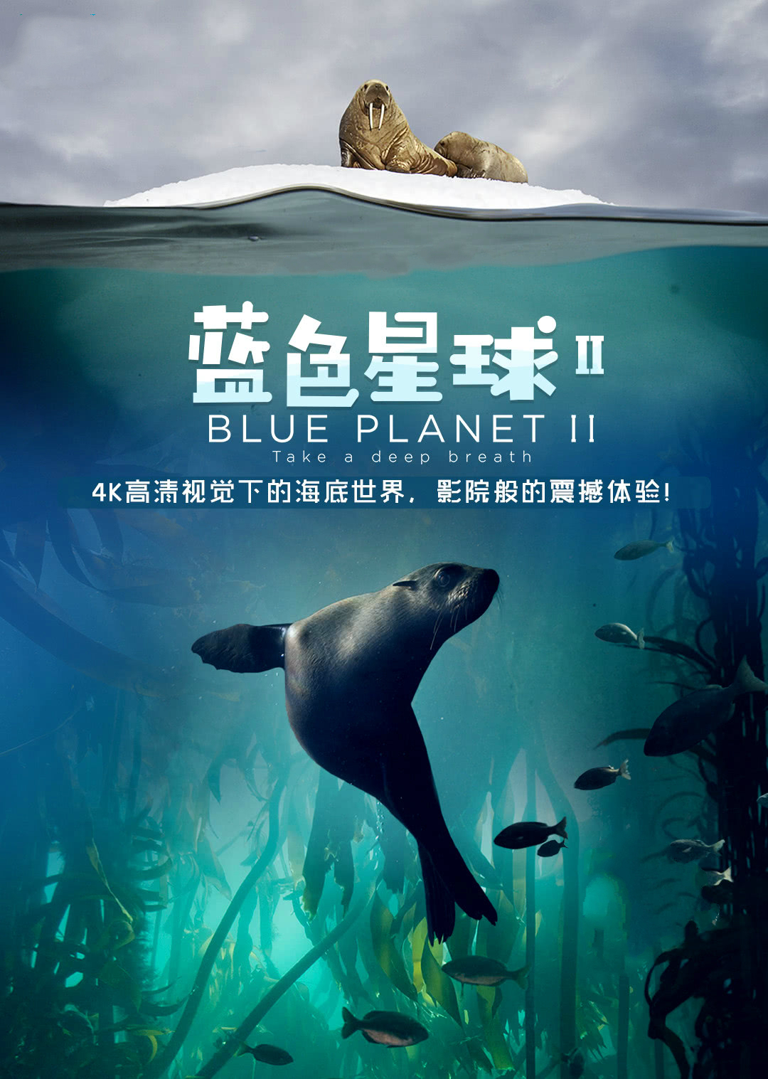 蓝色星球第二季封面图