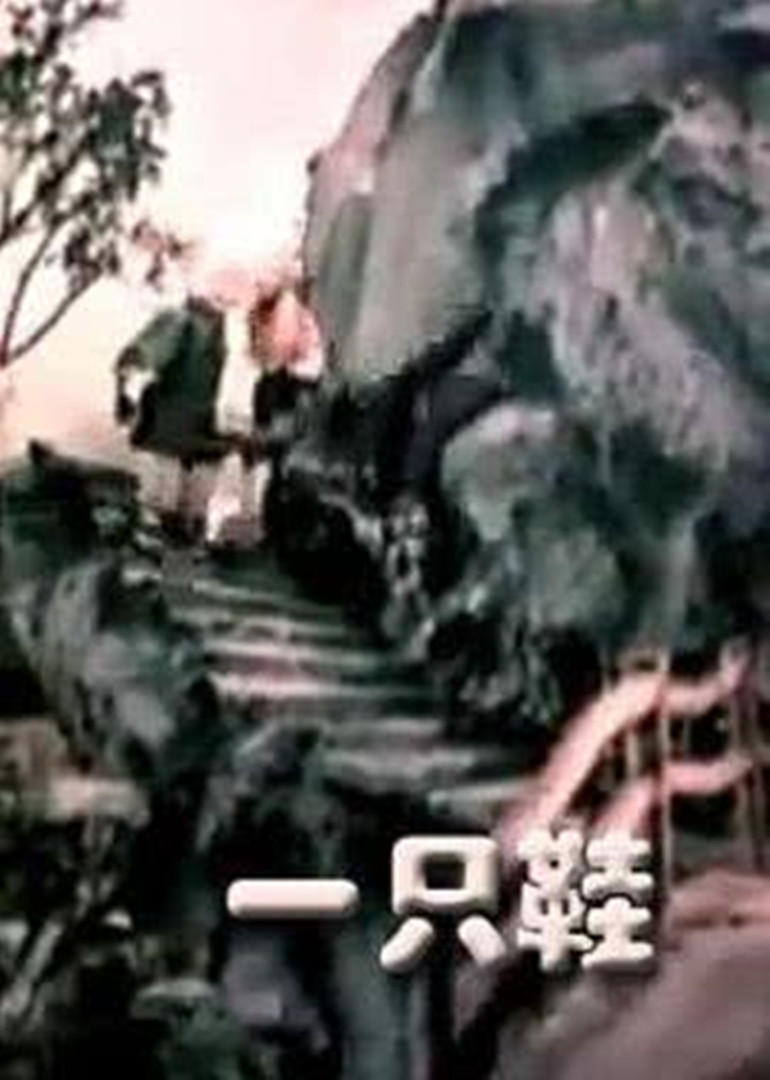 一只鞋封面图