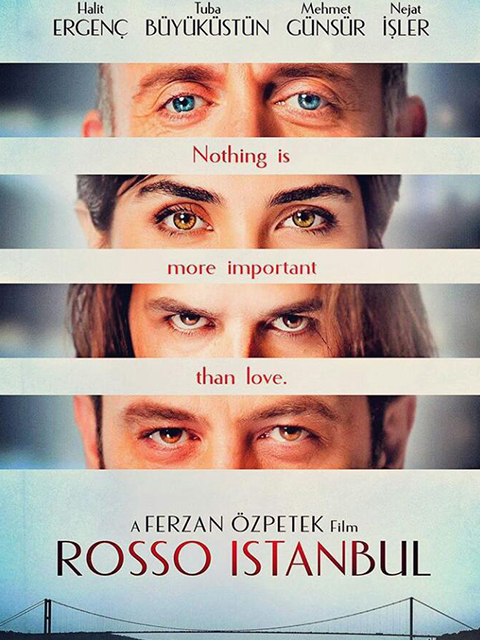 恋恋红城封面图