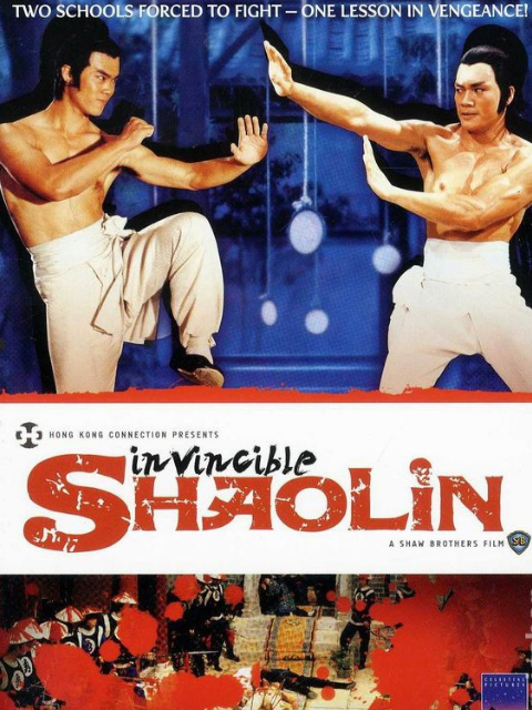 南少林与北少林封面图