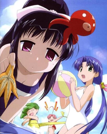 心动的日子封面图