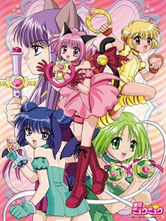 东京猫猫封面图