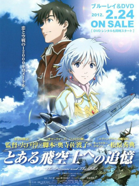 对某飞行员的追忆封面图