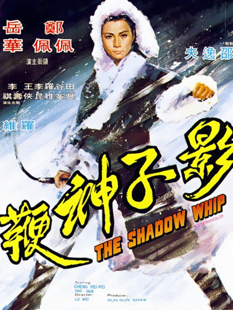 影子神鞭封面图