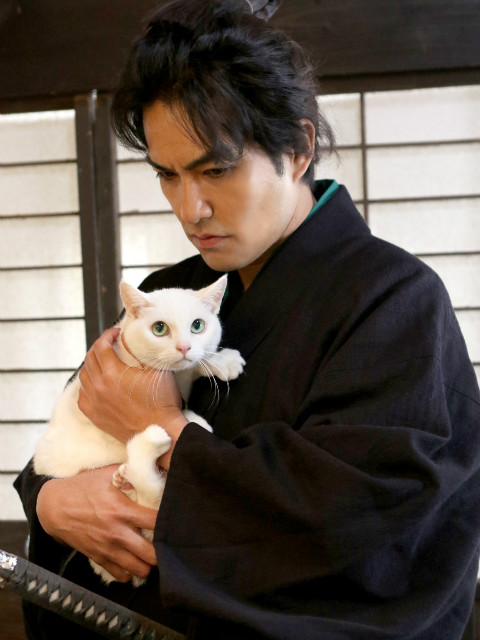 猫侍第二季封面图