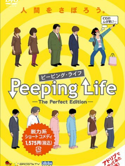 Peeping Life -The Perfect Edit封面图