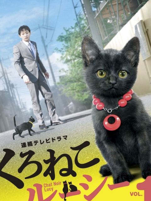 黑猫露西封面图