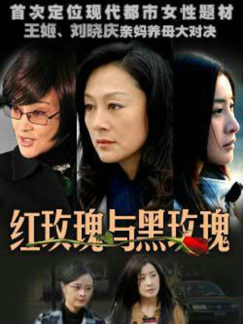 红玫瑰与黑玫瑰封面图