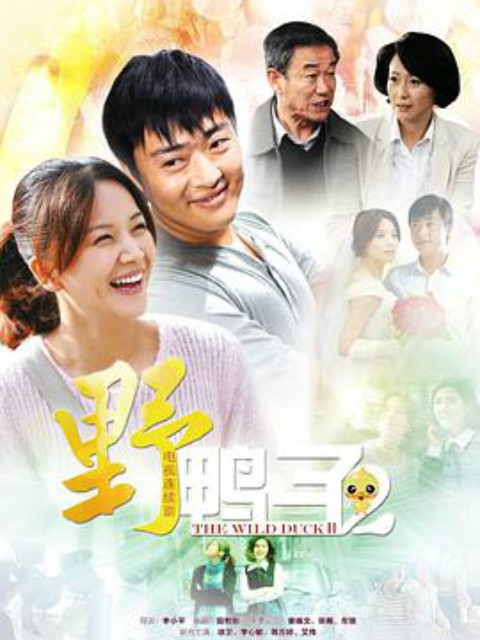 野鸭子第二部封面图