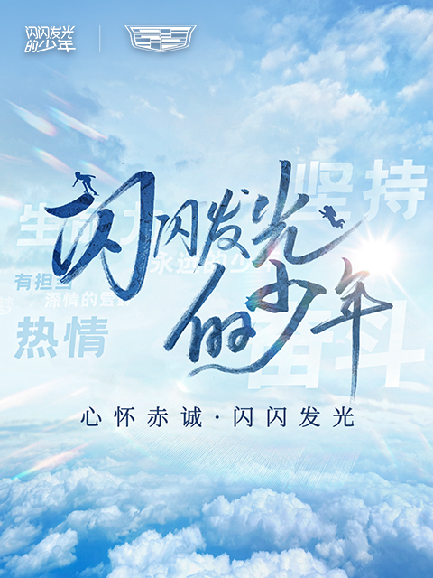 闪闪发光的少年2封面图