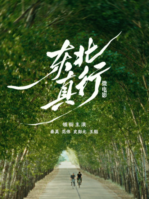 东北真行封面图