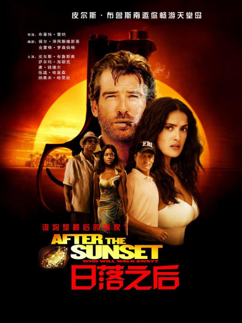 鬼胆神偷封面图