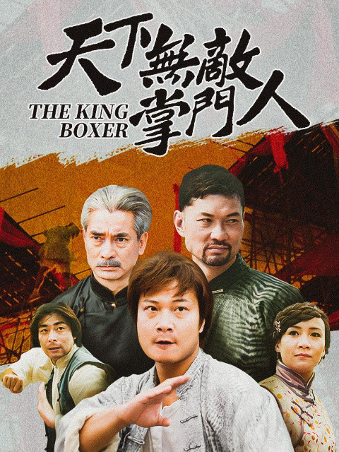 天下无敌掌门人封面图