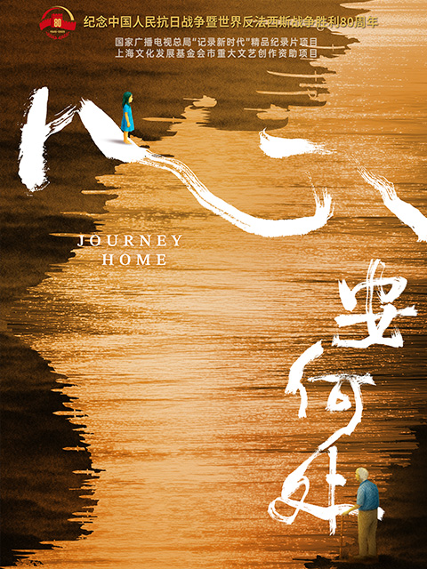 心安何处封面图