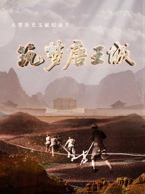 筑梦唐王城封面图