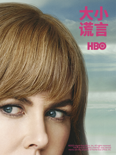 大小谎言封面图